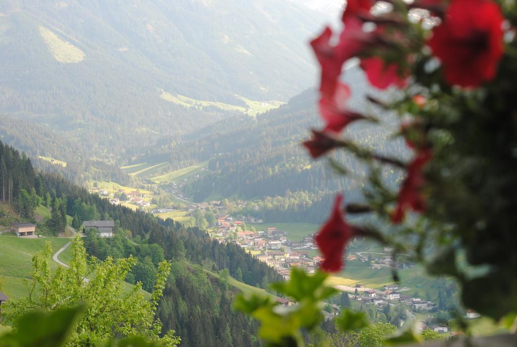 호프가르텐 임 브릭젠탈 Siedlerhof 아파트 외부 사진